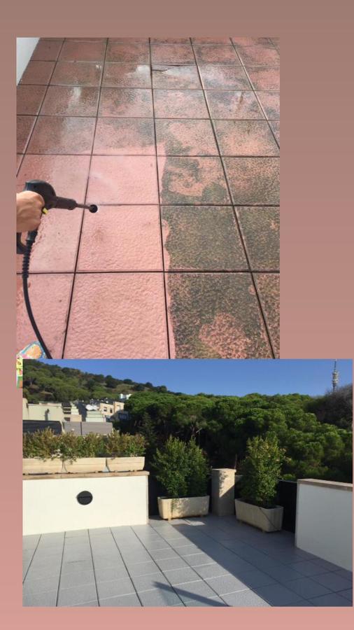 Renovación suelo