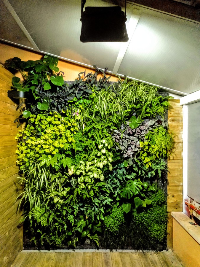 Jardín vertical