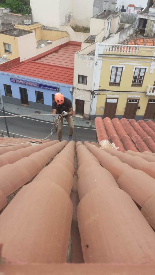MAS TRASTEJE