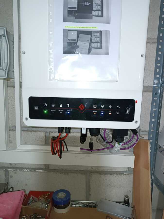 FV