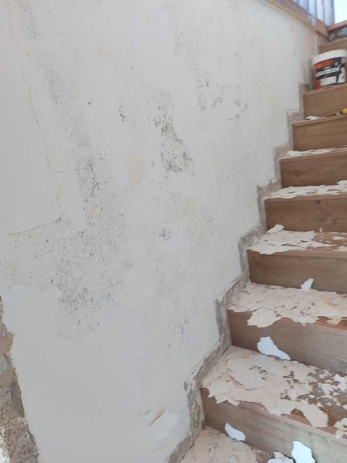 Reparación de pared con humedad