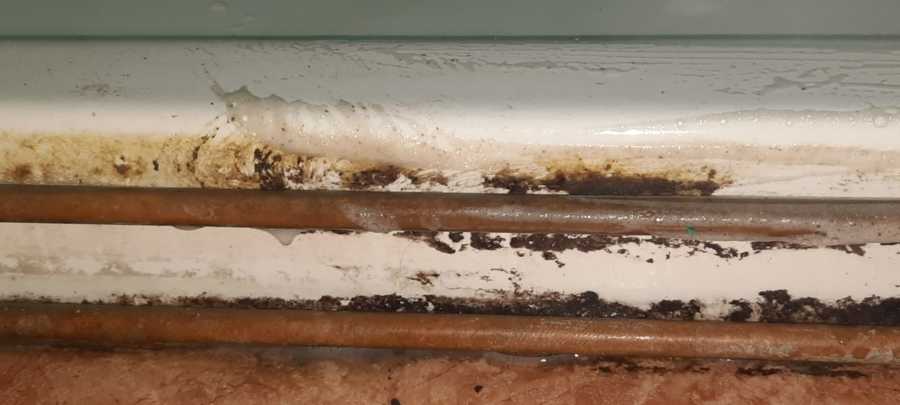 Baño fondo