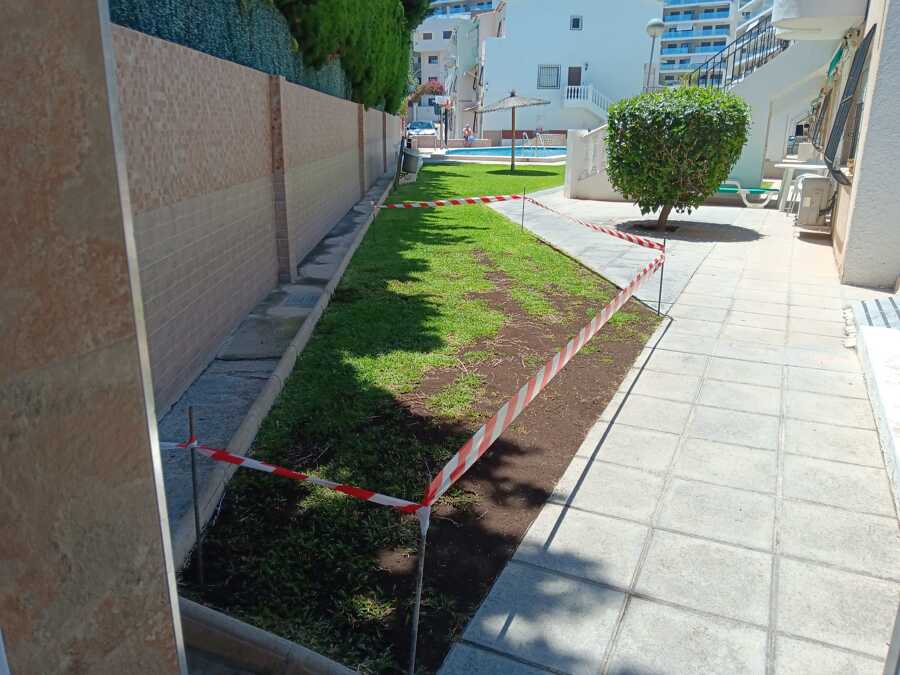 Resiembra de cesped