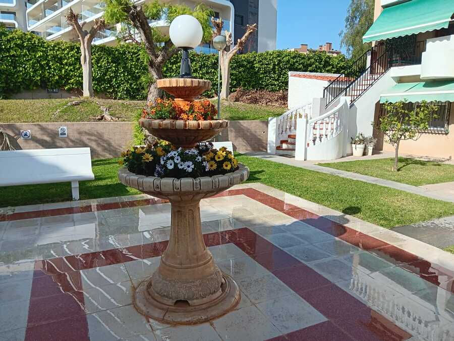 Flores ornamentales