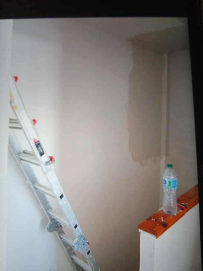 Pintor profesional