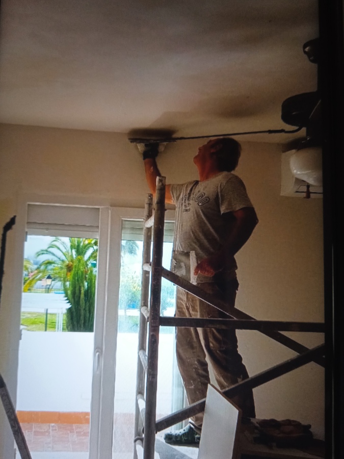 Pintado profesional