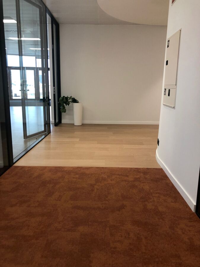 Limpieza oficinas