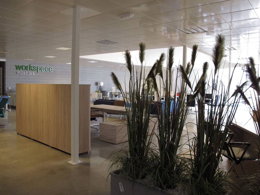 Workspace interior