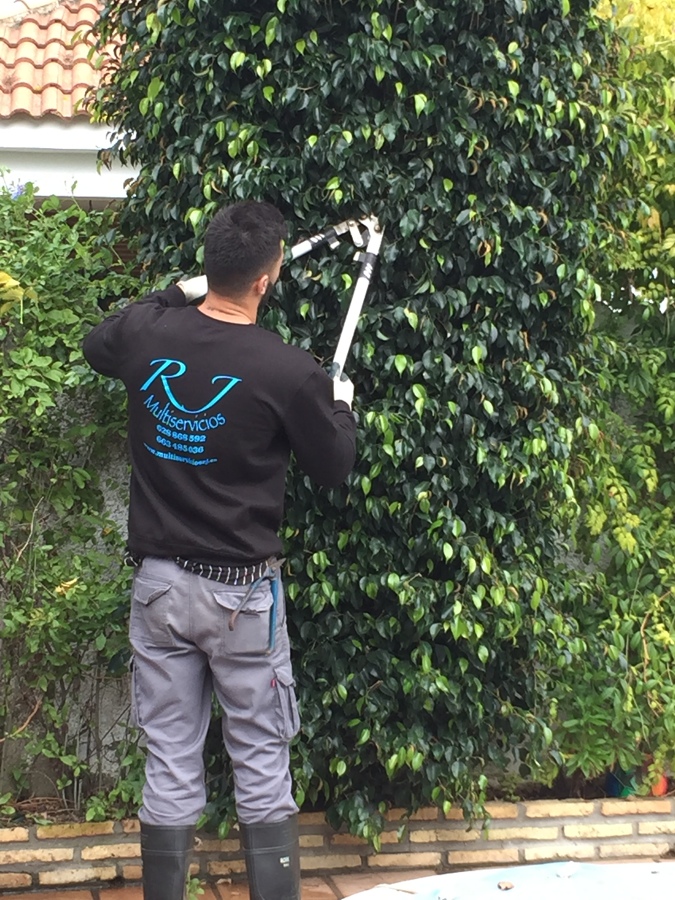 Jardinería 