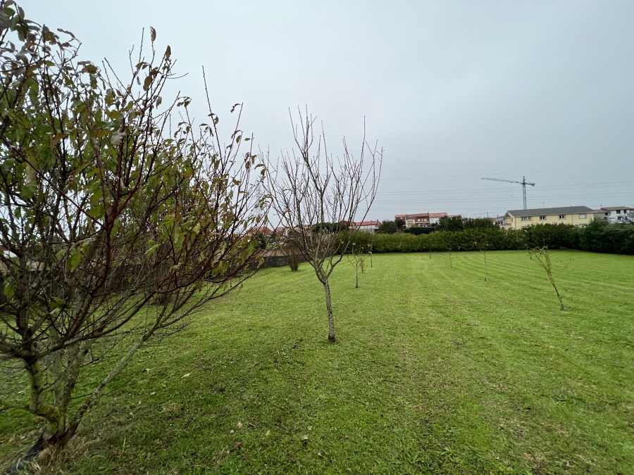 Siega de jardin