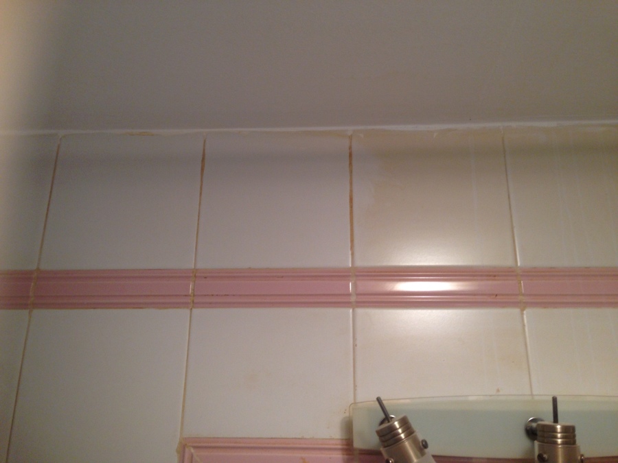 Limpieza de azulejos