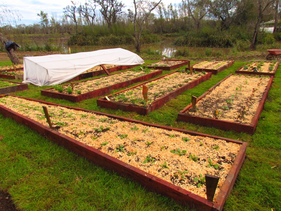 Huerto 100 m2