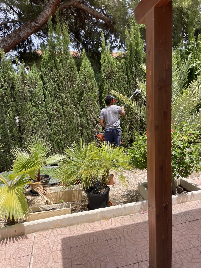 Servicios de jardinería