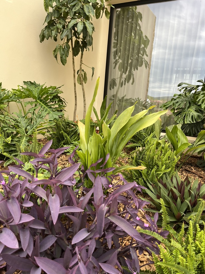 Plantacion y diseño de jardines
