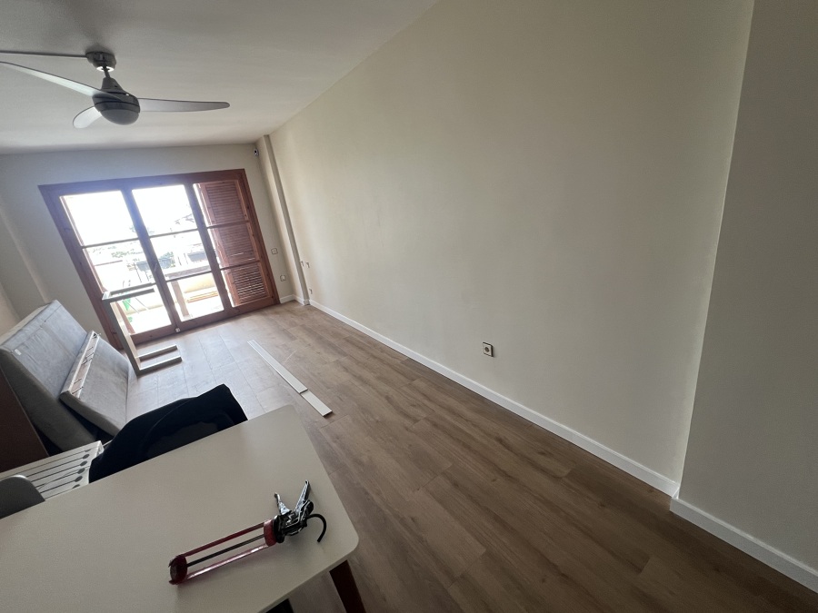 En estado de paredes y pinturas y parquet