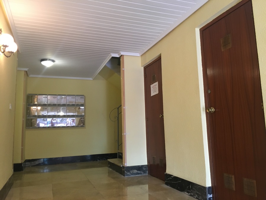 PINTURA INTERIOR