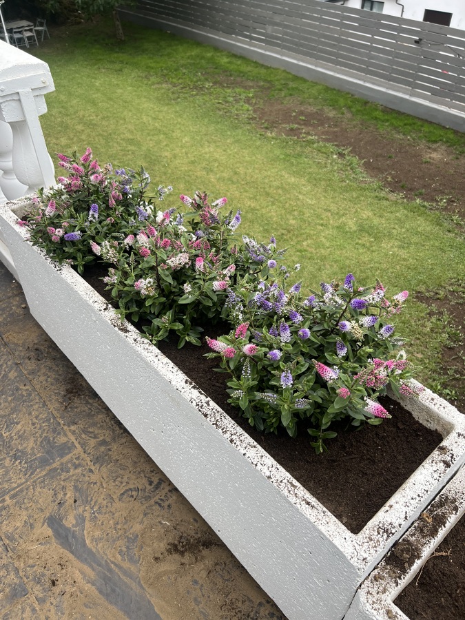 Jardinera de temporada