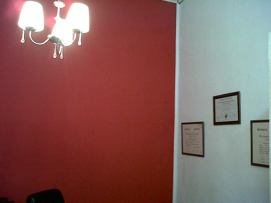 COLOCACION DE CERAMICOS  , PINTURA Y DECORACION