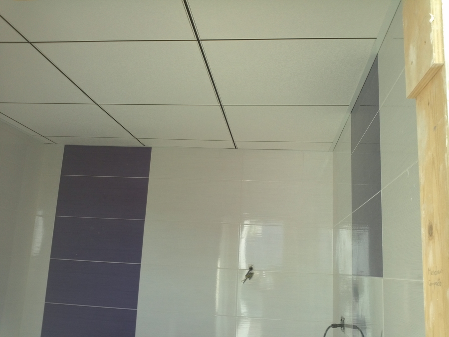 Techo y alicatado de cuarto de baño