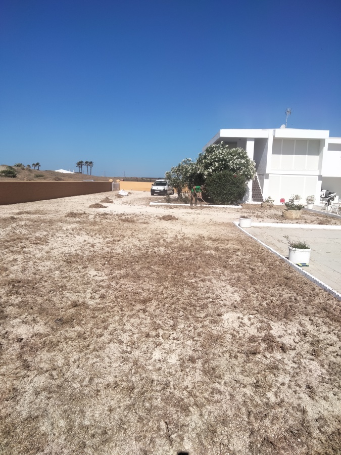 Antes