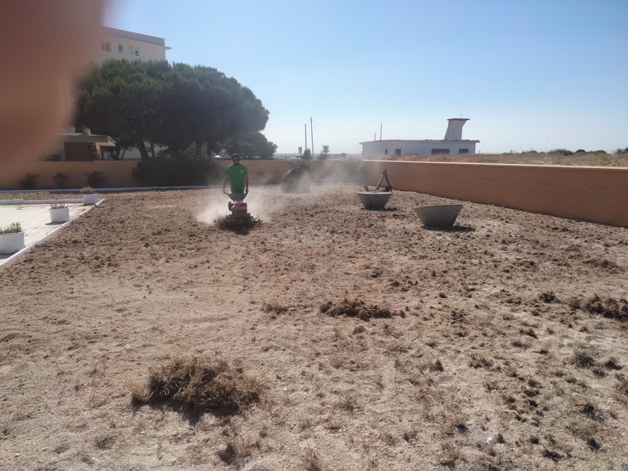 Limpieza de piedras