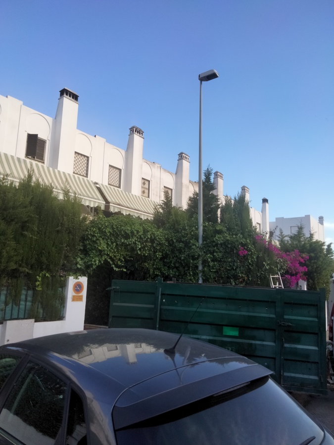 Tala de setos