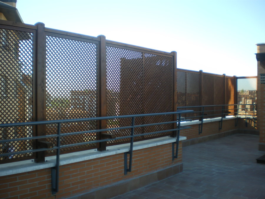 Celosias