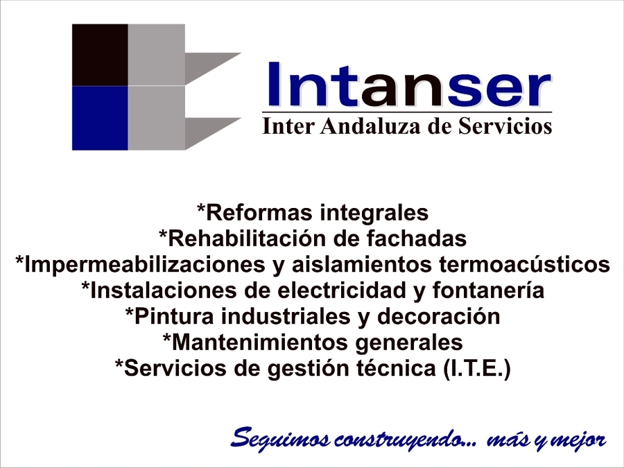 Intanser