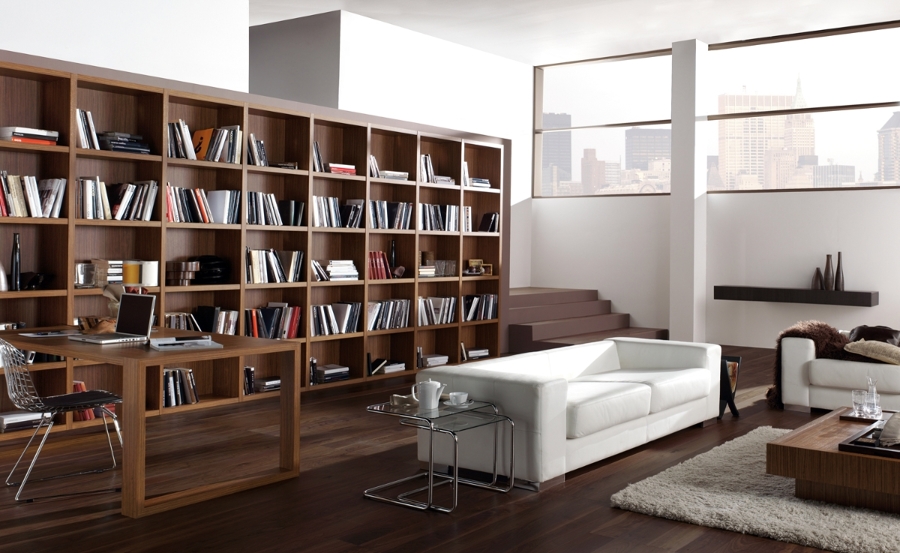 INTERIOR LIBRERIA