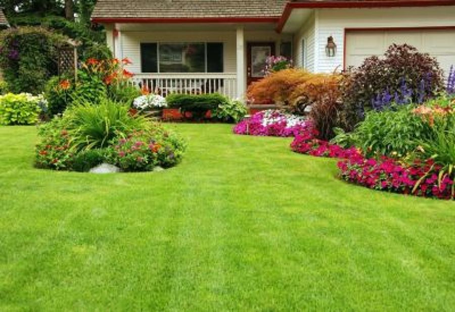 jardineria en general