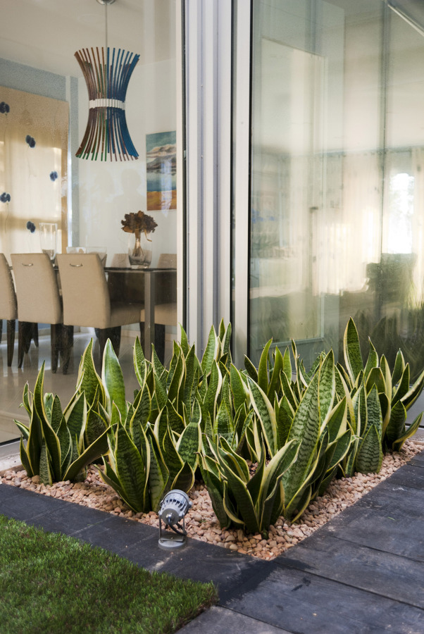 Foto: jardÃn minimalista en patio interior de david jimenez ... Interior Ideas Edificio Patio