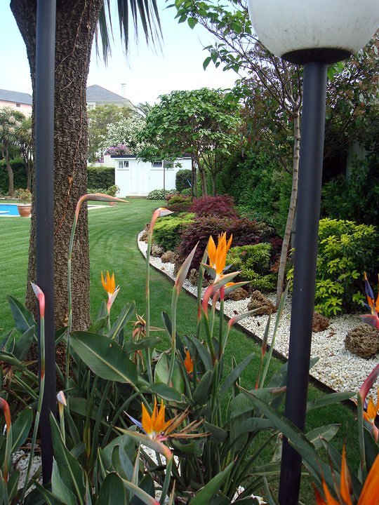 Jardín particular