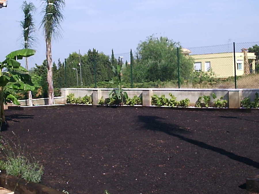 jardin sembrado.