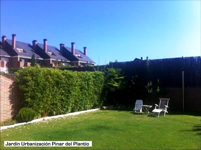 Jardín Urbanización Pinar del Plantío_Antes