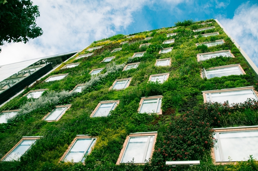 Jardín vertical en Colombia