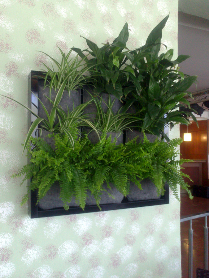 Jardin vertical