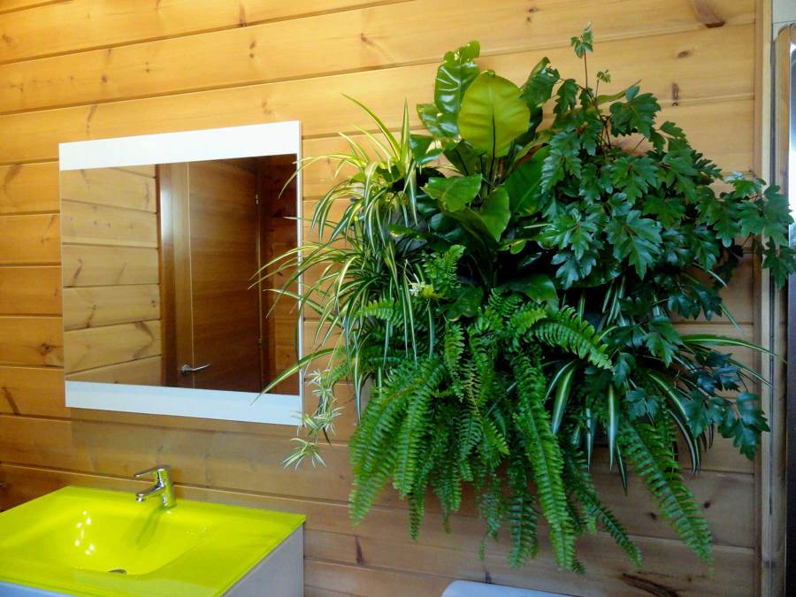 jardin vertical