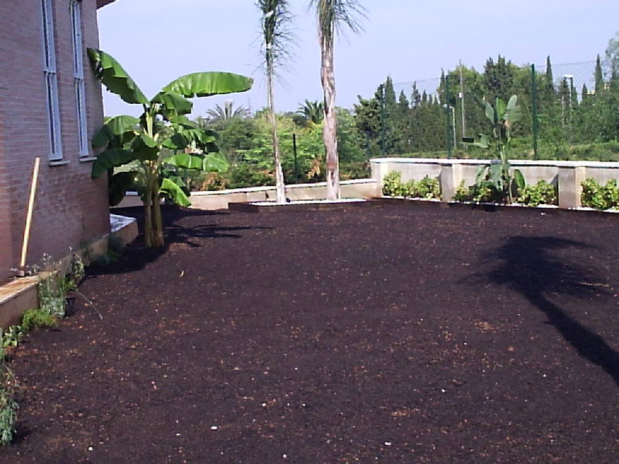 jardin