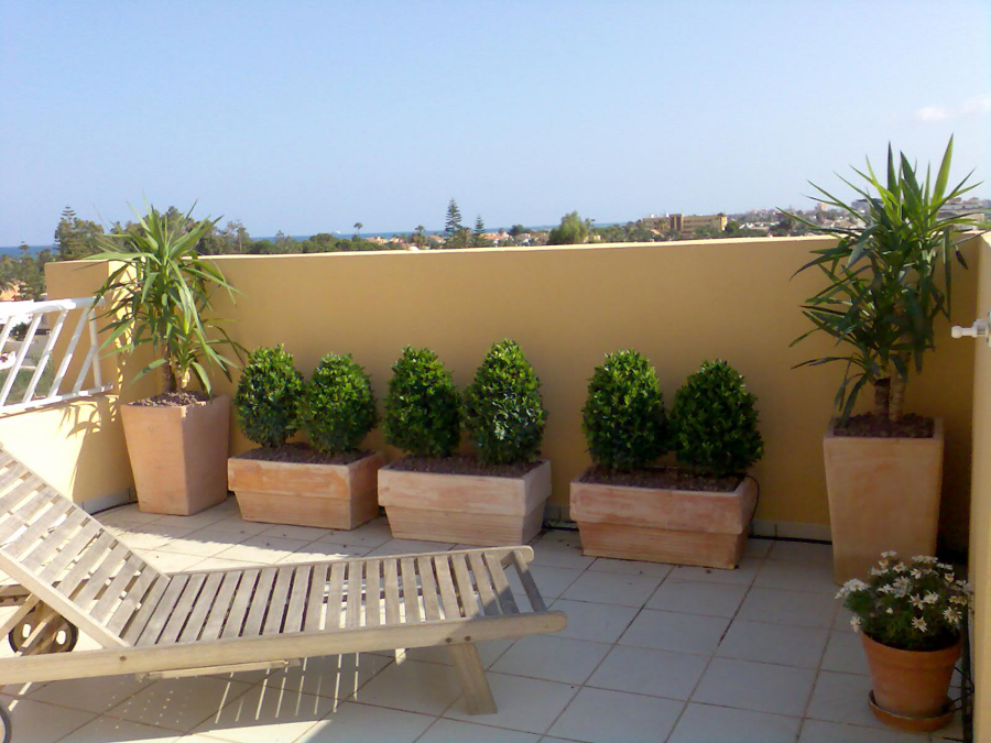 Imagenes De Jardineras Minimalistas | foto jardineras en terraza atico de jarditec s c 255691 Imagenes De Jardineras Minimalistas | foto jardineras en terraza atico de jarditec s c 255691