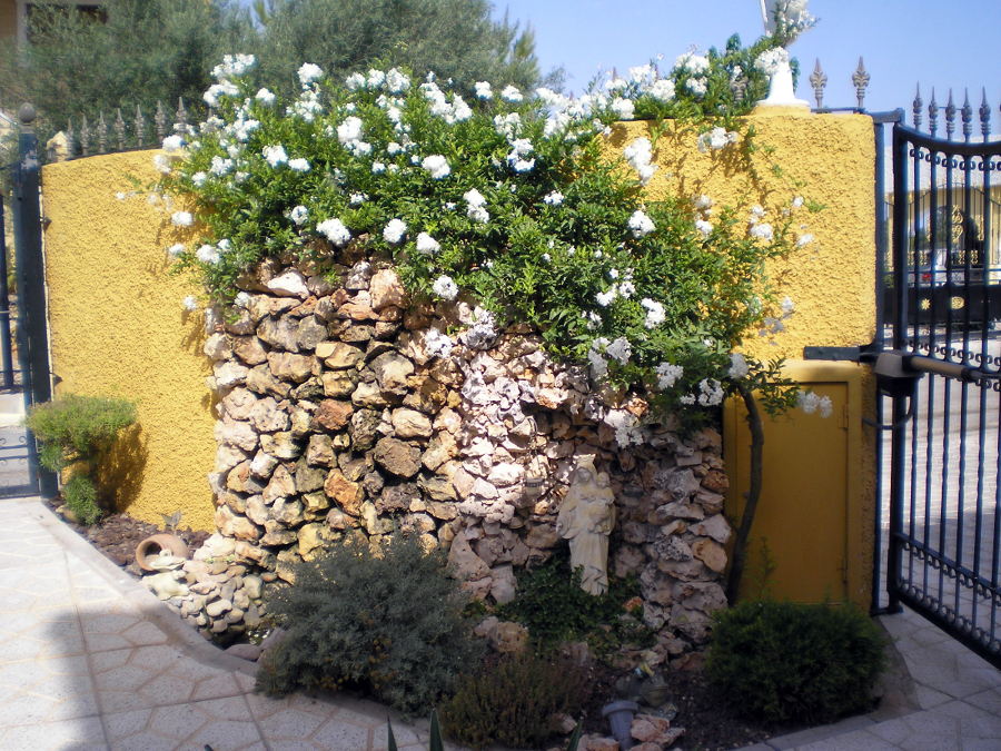 Jardineria.