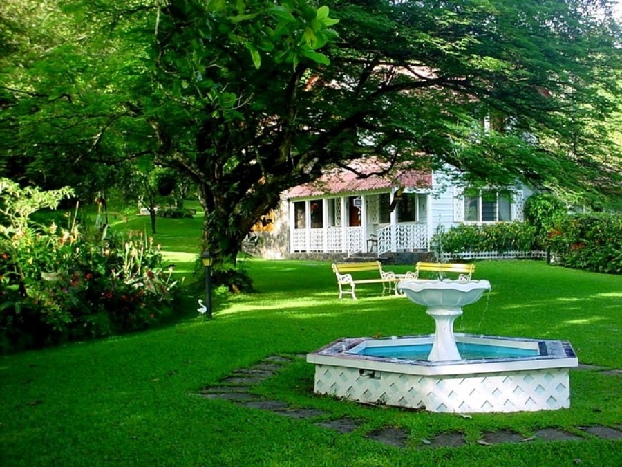 Jardinero Madrid