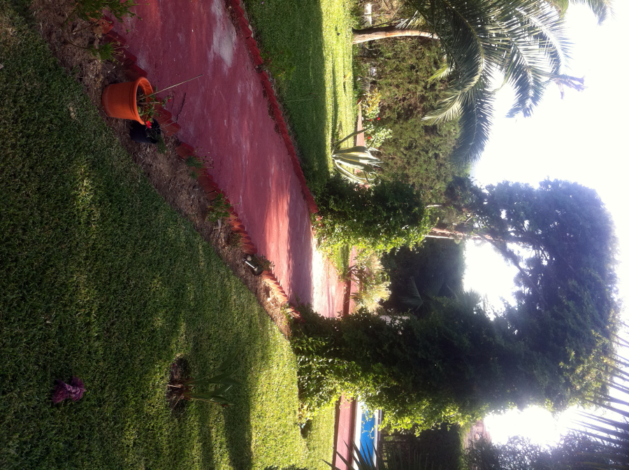 jardines
