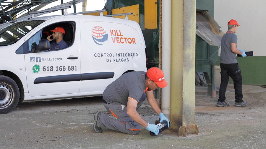 Control de plagas prevención