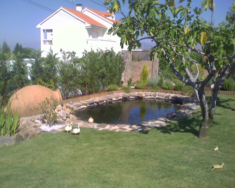 lago