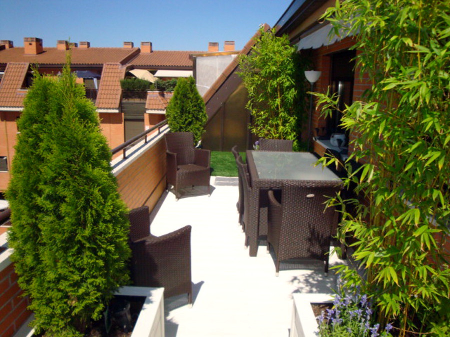 las rosas