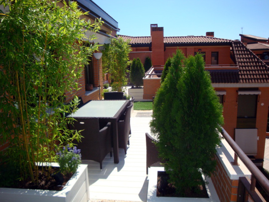 las rosas