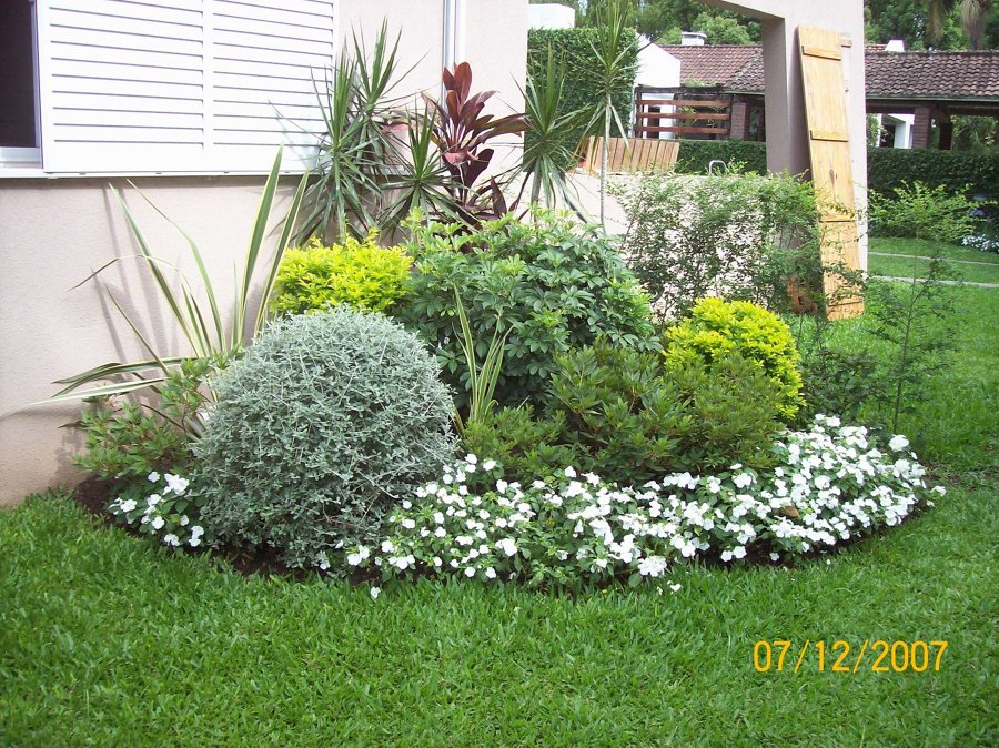 Lateral de jardin
