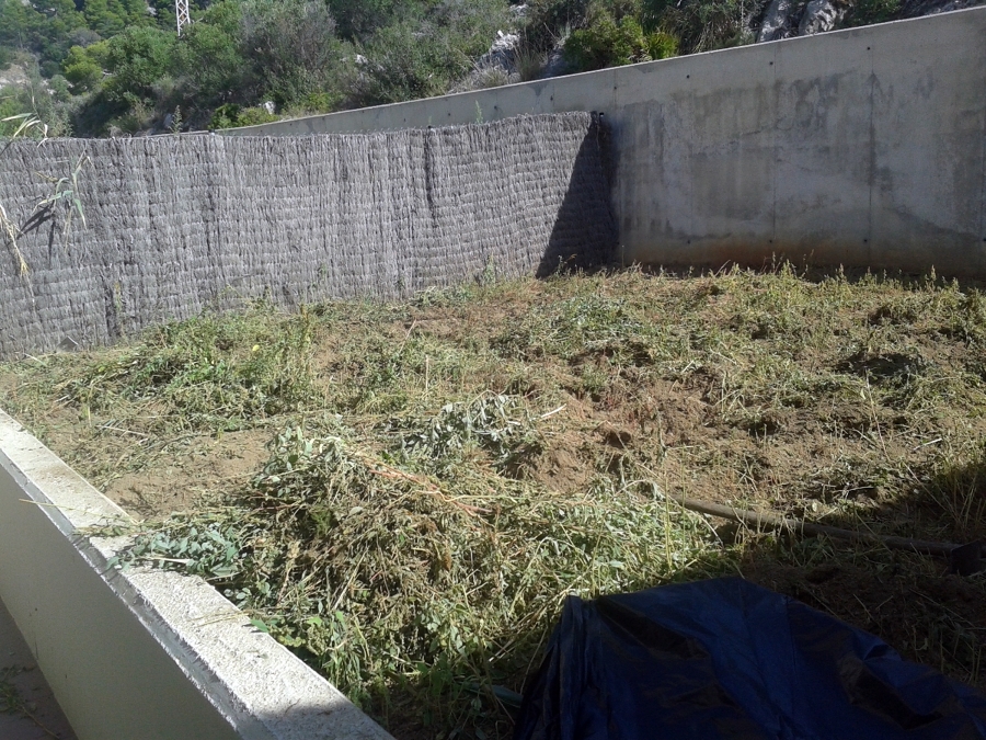 Limpieza de jardin 