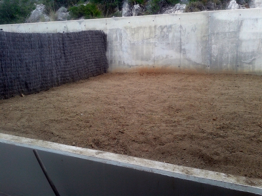 LIMPIEZA JARDIN 