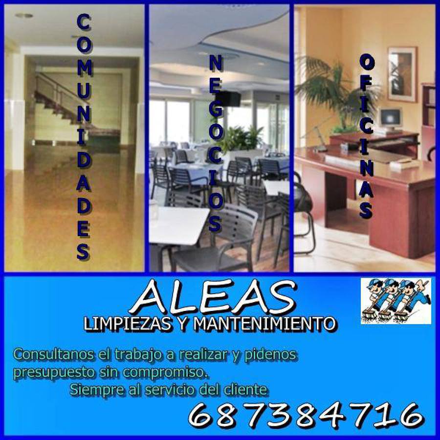Limpieza Profesional